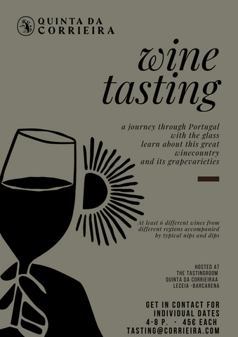 Wine Tasting - A journey through Portugal with the glass