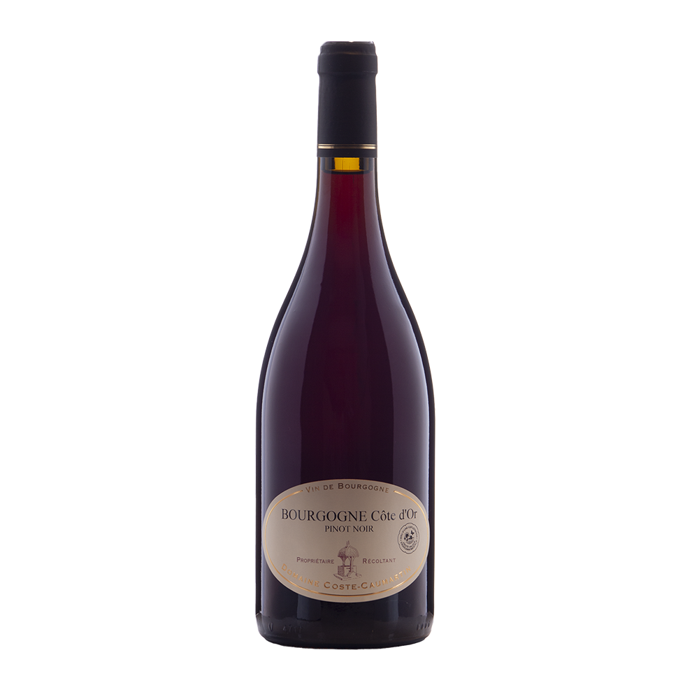 Bourgogne Côte D´Or, Pinot Noir, Domaine Coste-Caumartin, 0,75, 2021