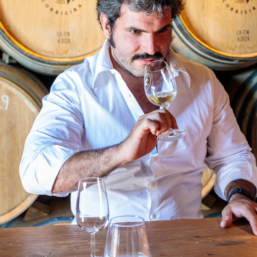 
                  
                    "Carcavelos Wine" Tour at Quinta da Corrieira
                  
                