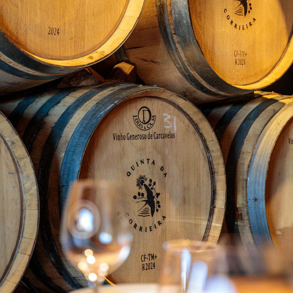 
                  
                    "Carcavelos Wine" Tour at Quinta da Corrieira
                  
                